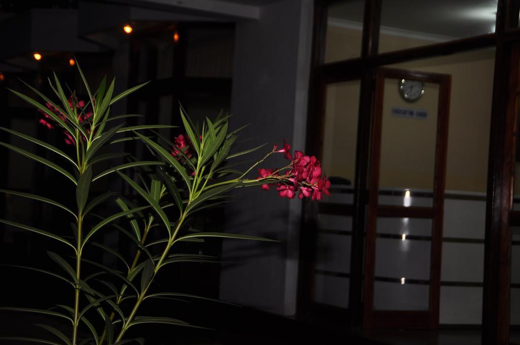 Melbourne Tourist Rest Hotel Anuradhapura Exterior photo